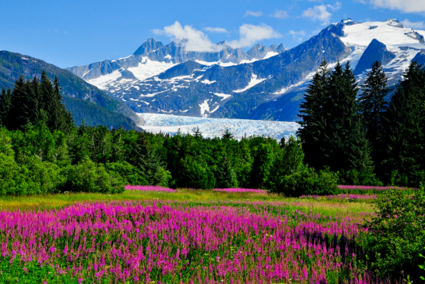 Seattle Stay and Alaska Fly Cruise with Cassidy Travel