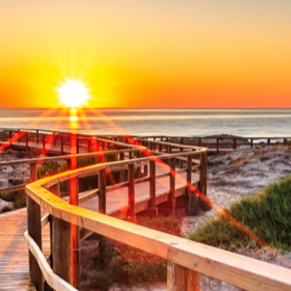 See offers to travel to Alicante