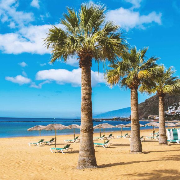See offers to travel to Tenerife