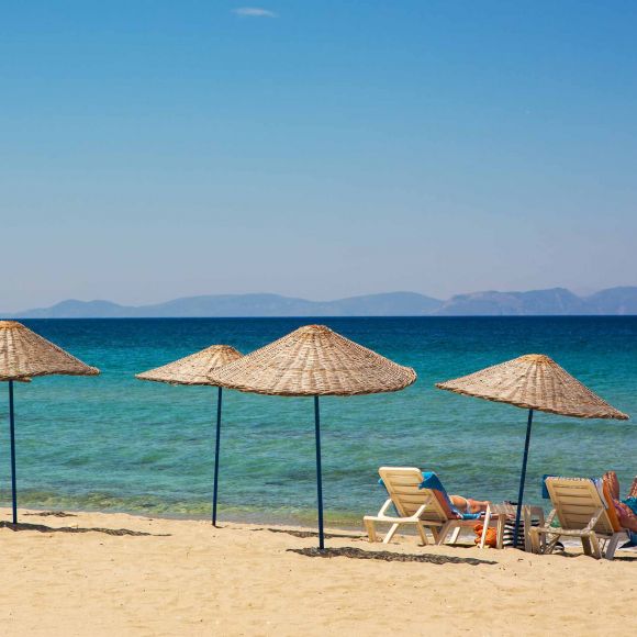 See offers to travel to Turkey