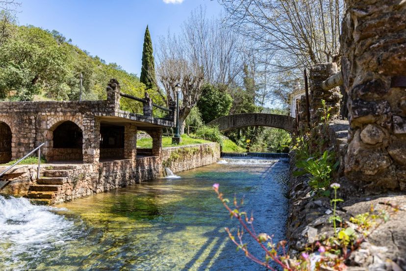 Alte with Cassidy Travel