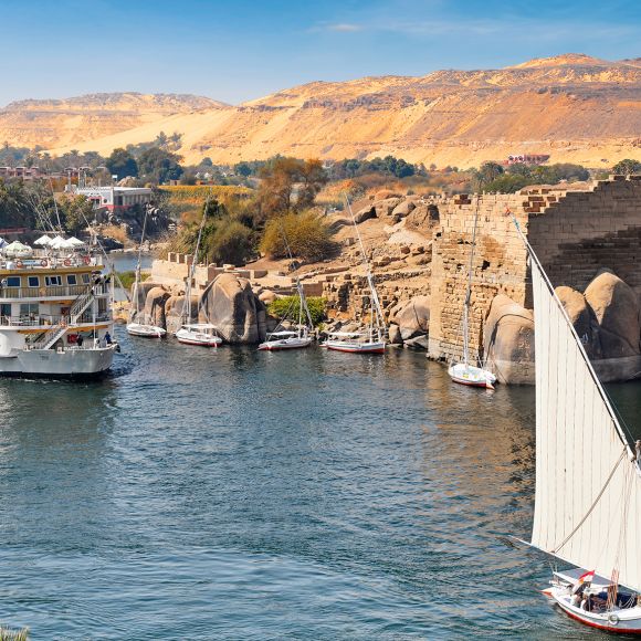 See offers to travel to AmaDahlia