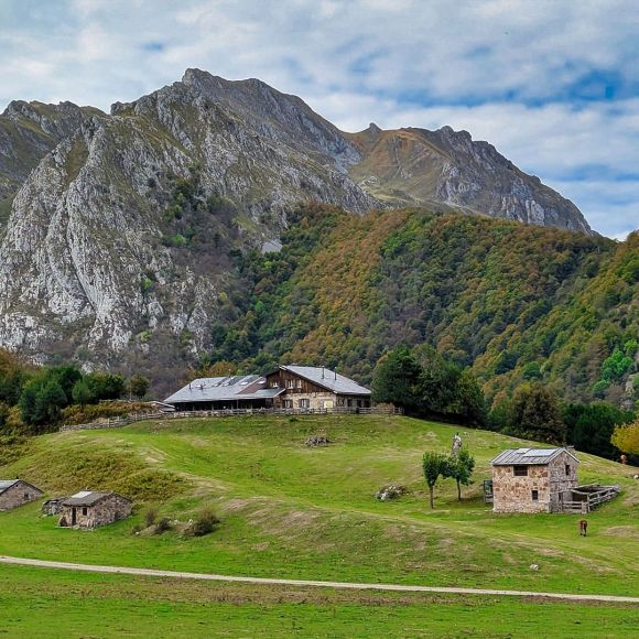 See offers to travel to Asturias