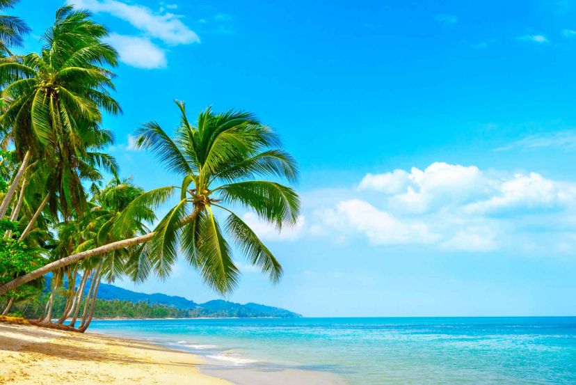 Western Caribbean with Cassidy Travel