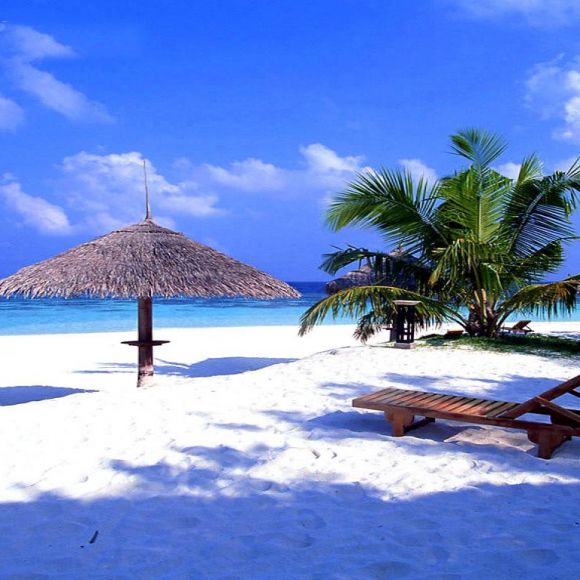 See offers to travel to Bali