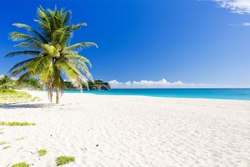 Southern Caribbean Cruise Only with Cassidy Travel