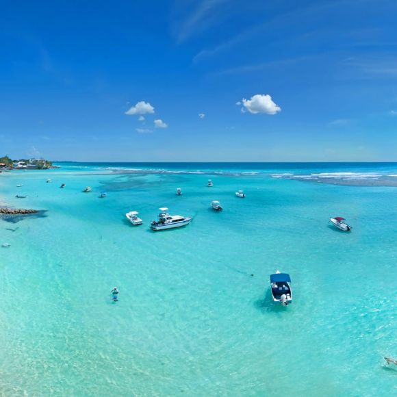 See offers to travel to Barbados