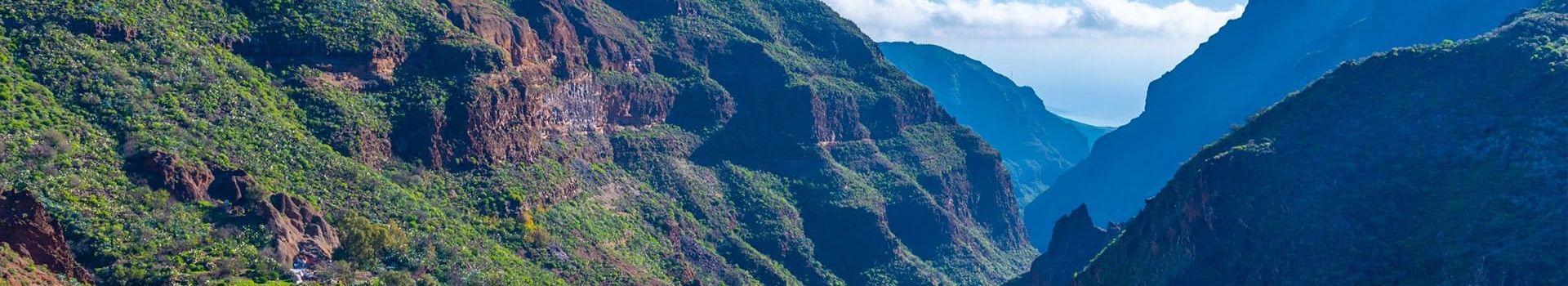 Barranco de Guayadeque Holidays