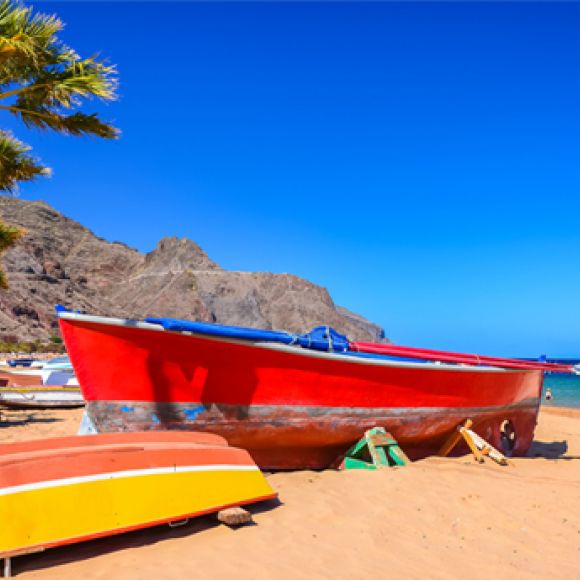 See offers to travel to Tenerife