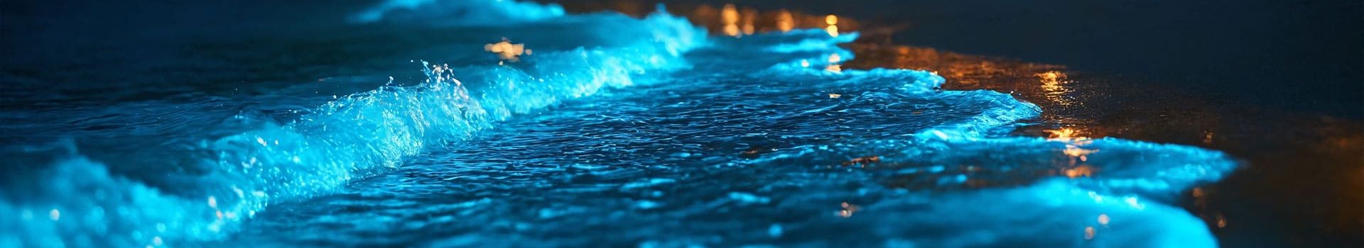 Bioluminescence in Holbox 