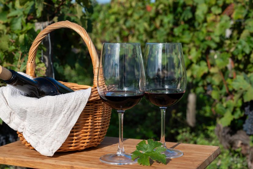 Brilliant Bordeaux River Fly/Cruise with Cassidy Travel