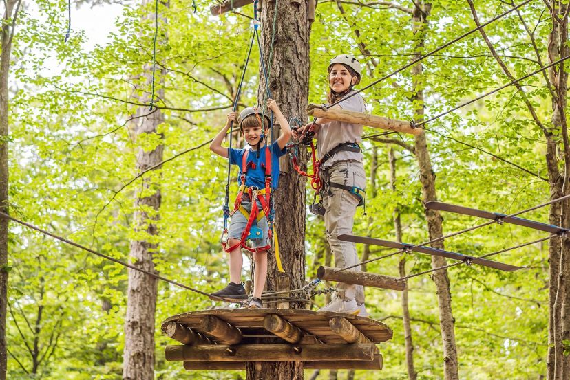 Bosc Aventura with Cassidy Travel