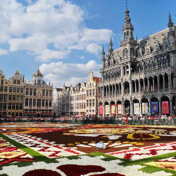 See offers to travel to Brussels