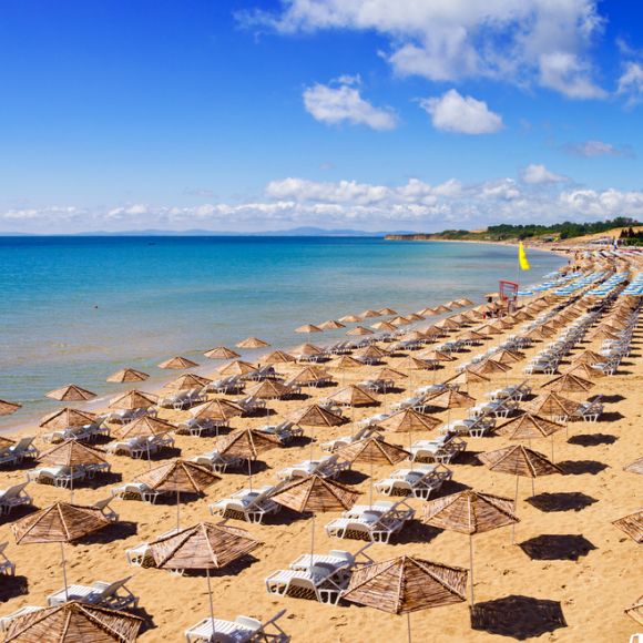 See offers to travel to Bulgaria