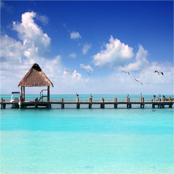 See offers to travel to Cancun