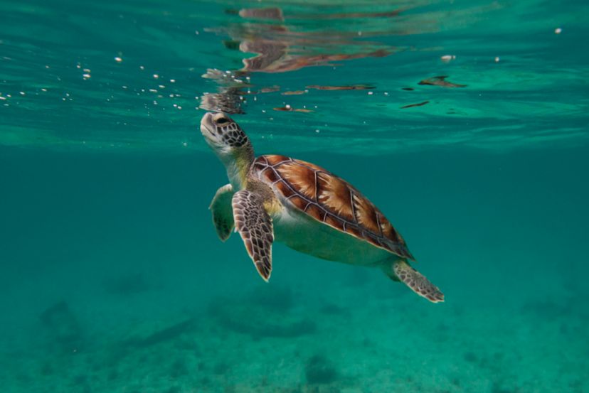 Fort Lauderdale Stay and Caribbean Fly/Cruise with Cassidy Travel