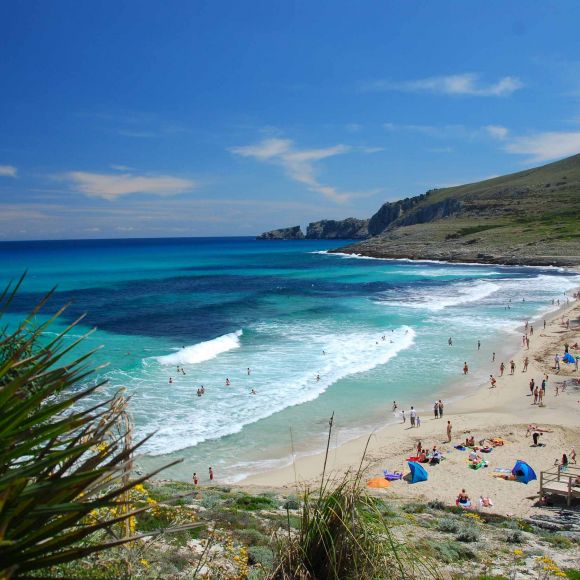 See offers to travel to Majorca