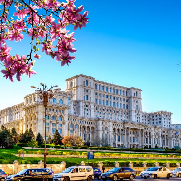See offers to travel to Bucharest