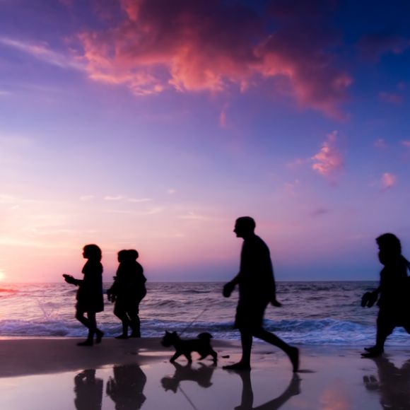 See offers to travel to Ibiza