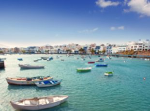 Canaries Winter Fly/Cruise