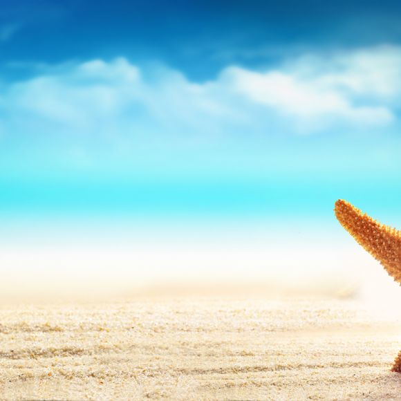 See offers to travel to Cheap Holidays