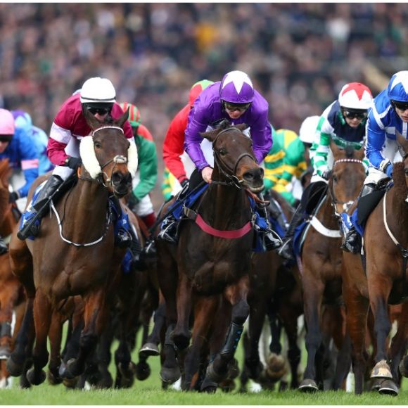 See offers to travel to Cheltenham Festival 2026