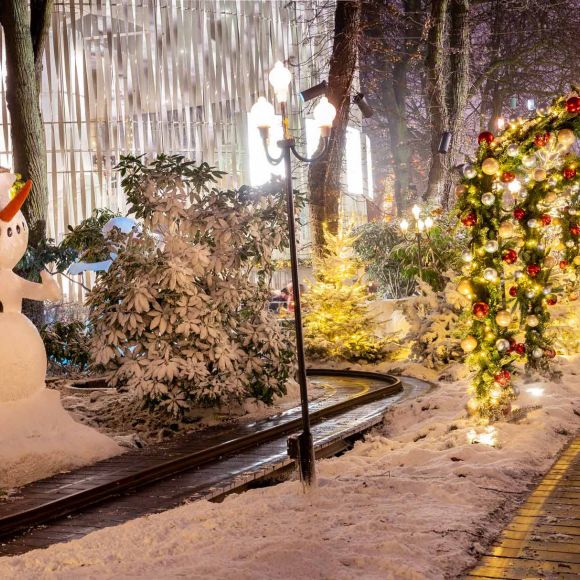 See offers to travel to Copenhagen