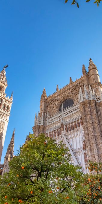 City Guide to Seville - Cassidy Travel Blog