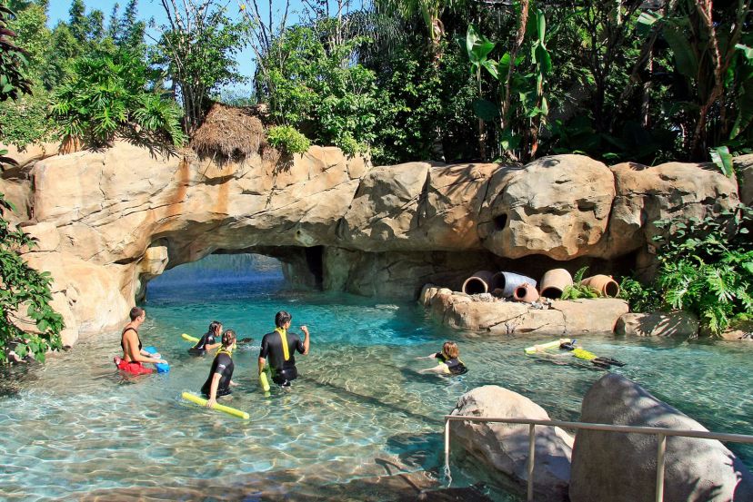 Discovery Cove with Cassidy Travel