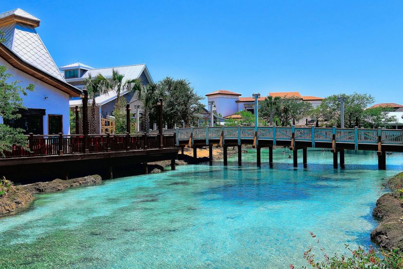 Disney Springs with Cassidy Travel