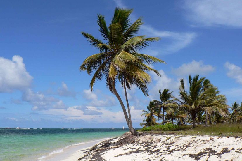 Miami Stay, Dominican Republic & Bimini Beach Club Fly/Cruise with Cassidy Travel