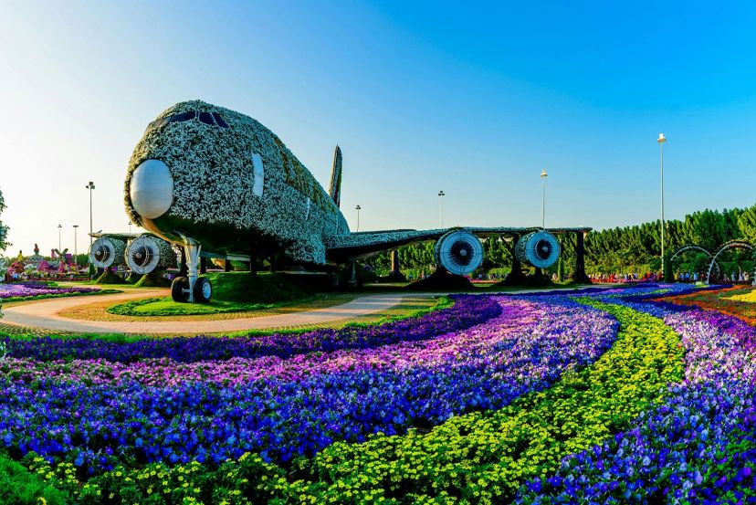Dubai Miracle Garden with Cassidy Travel