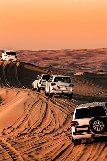 Dubai Things to Do & Attractions Things to Do & Attractions 