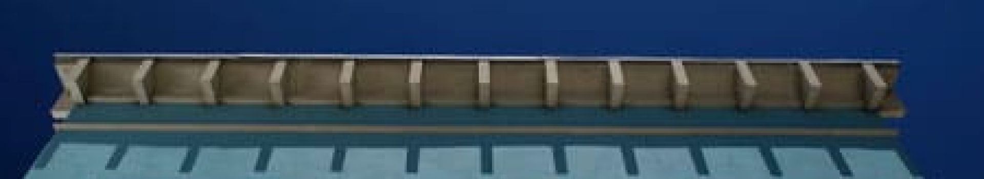 Immerse Yourself in Authentic Florida Culture