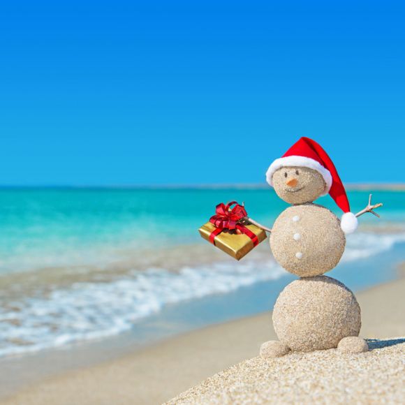 See offers to travel to December