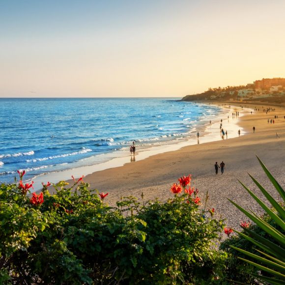 See offers to travel to Fuerteventura