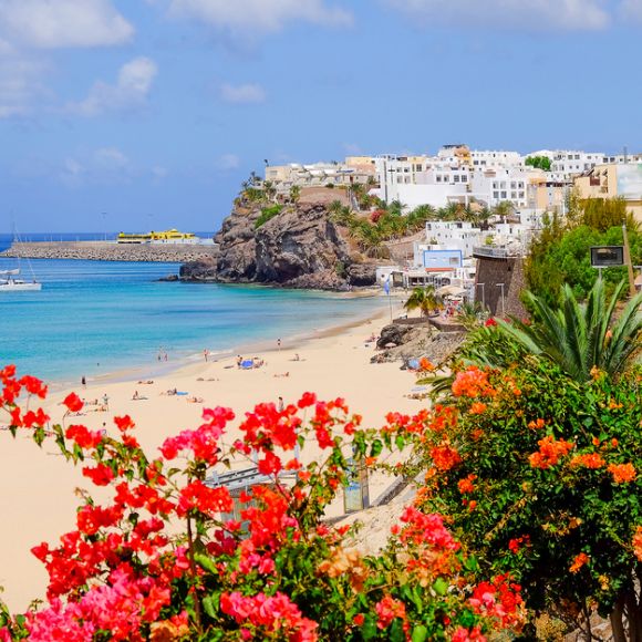 See offers to travel to Fuerteventura
