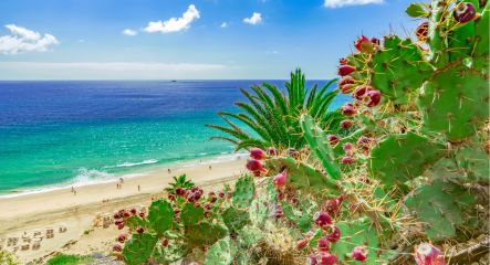 Fuerteventura holidays - Cassidy Travel Blog