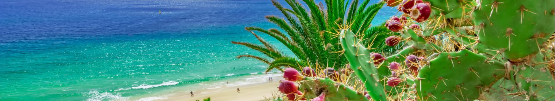 Fuerteventura holidays - Cassidy Travel Blog