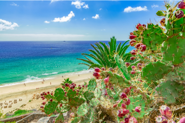 Fuerteventura