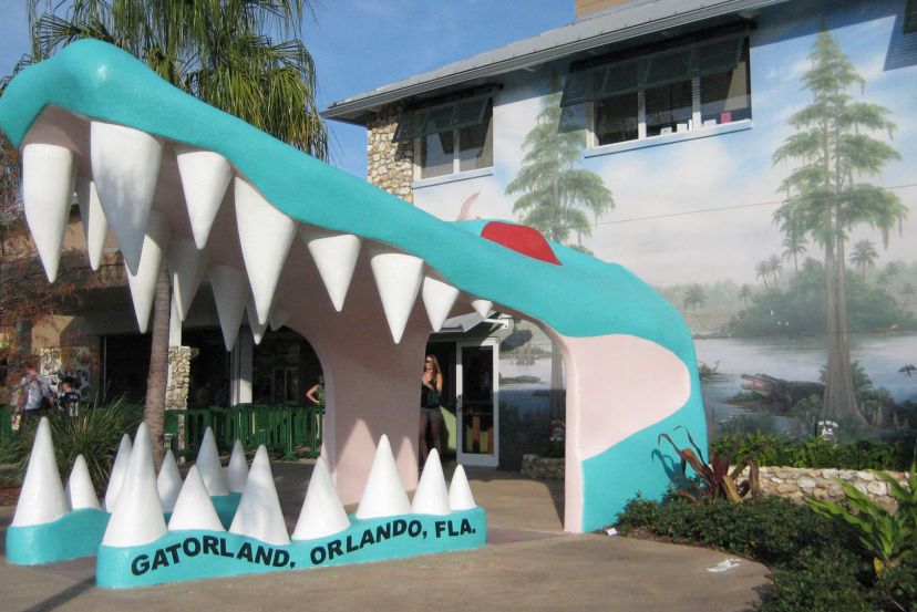 Gatorland with Cassidy Travel