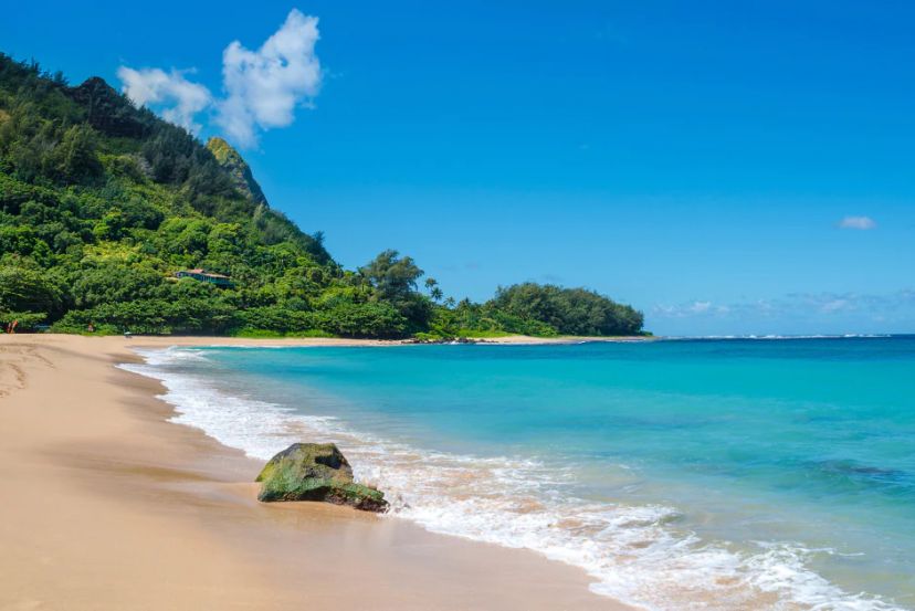 San Francisco with Tour & Hawaiian Islands Fly/Cruise with Cassidy Travel