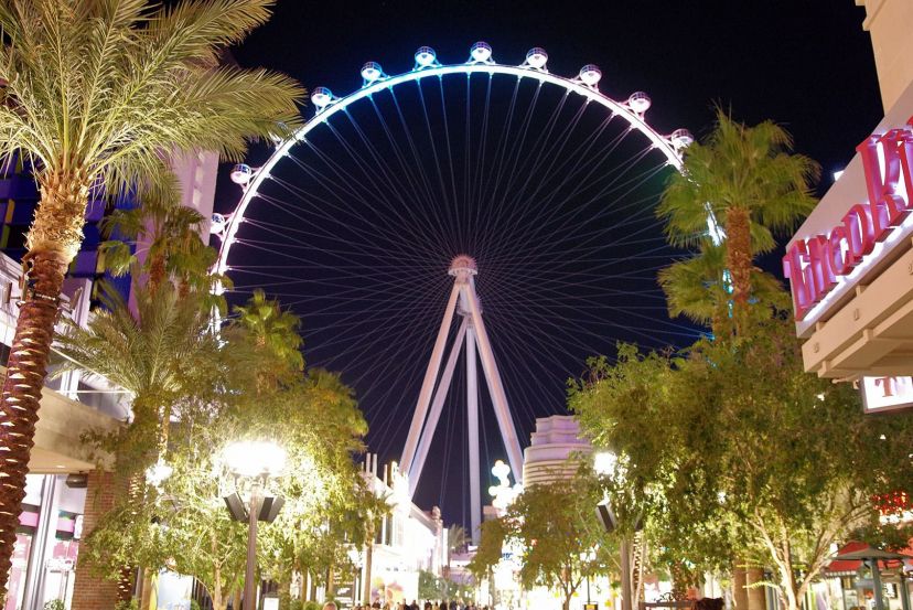 The High Roller with Cassidy Travel