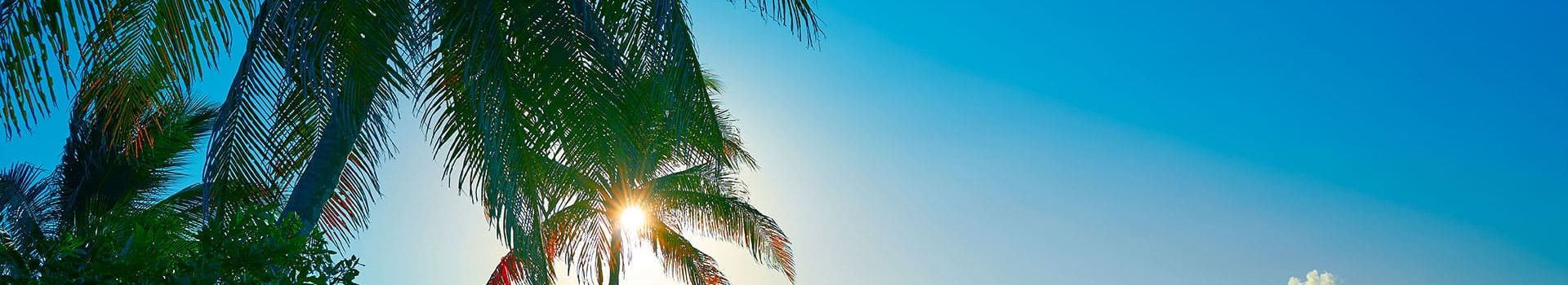Holbox Island 