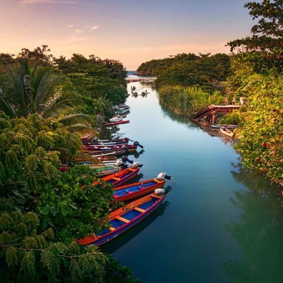 See offers to travel to Jamaica