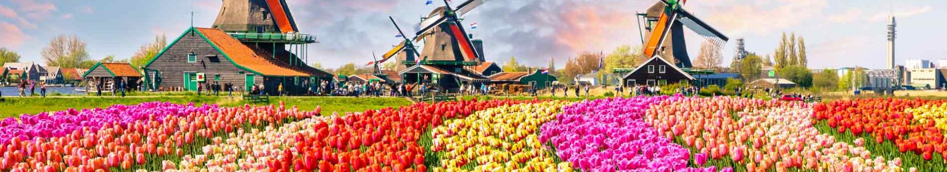 Holidays to the Netherlands with Cassidy Travel