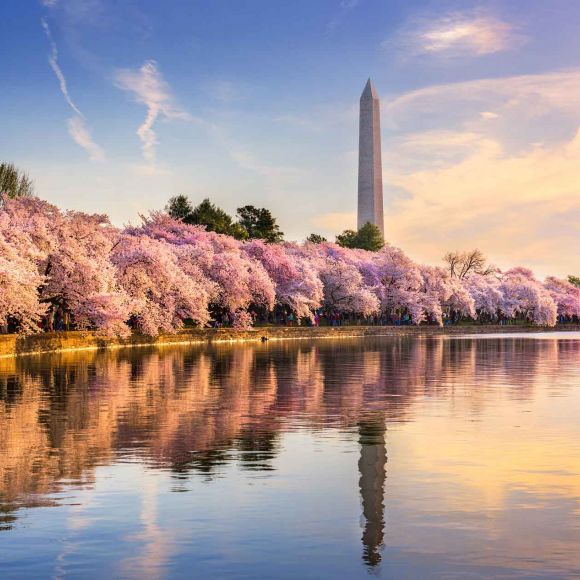 See offers to travel to Washington D.C.