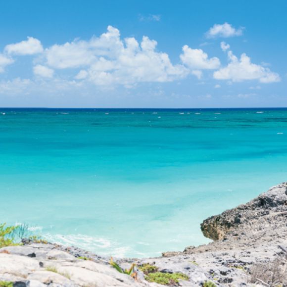 See offers to travel to Mexico