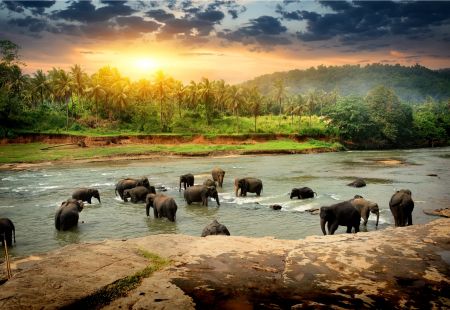 Holidays to Sri Lanka with Cassidy Travel