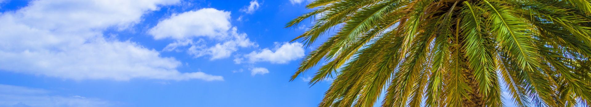 Holidays to Canary Islands | Book Flights & Hotel with Cassidy Travel